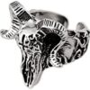 skull ring