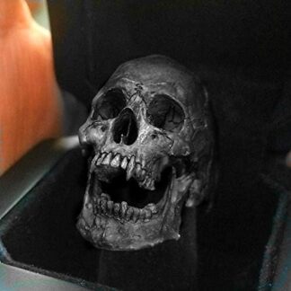 skull ring